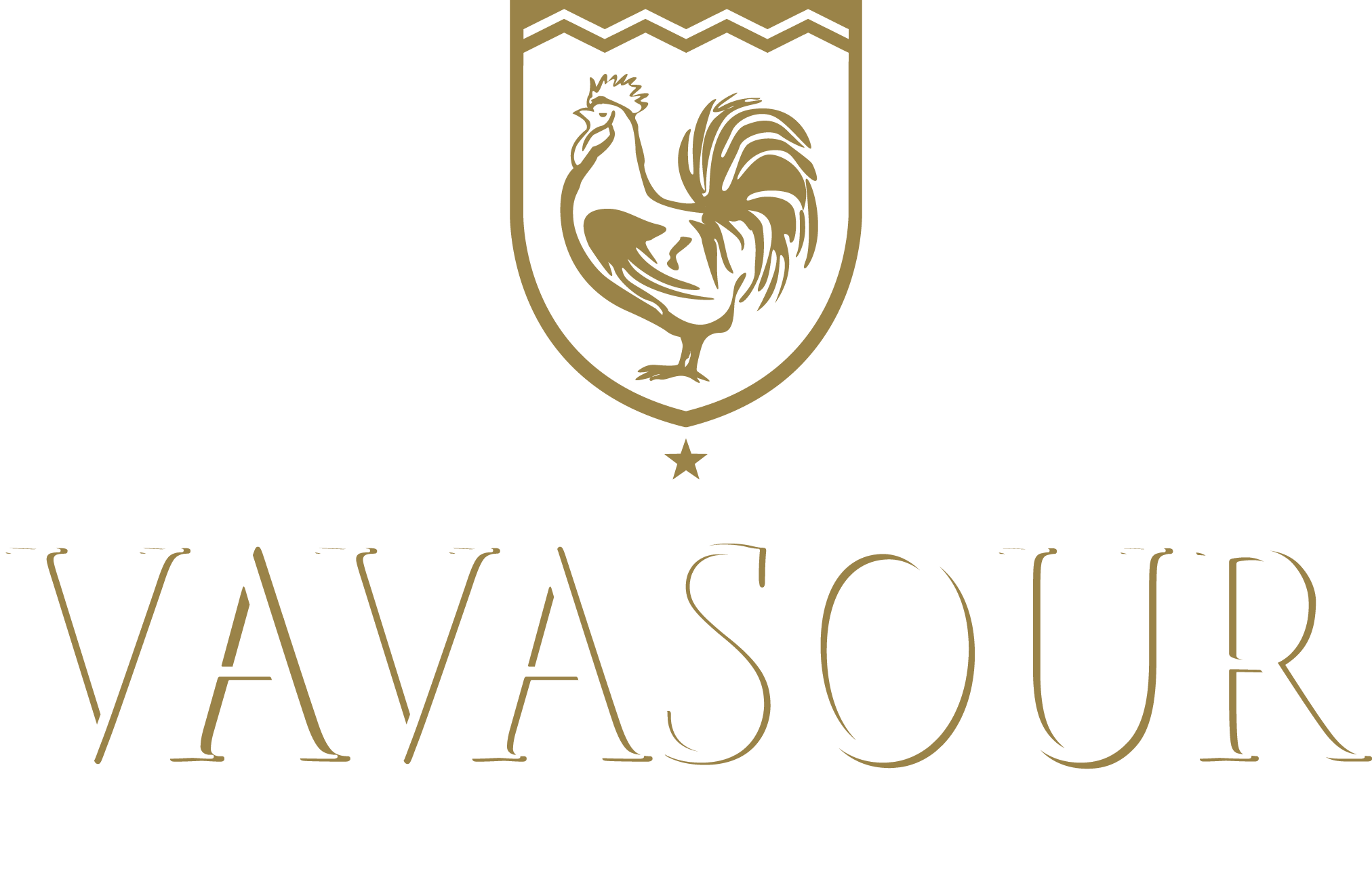 Vavasour